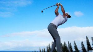 Dustin Johnson