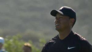 Tiger Woods