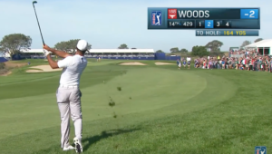 Tiger Woods