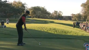 Tiger Woods