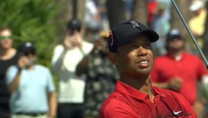 Tiger at Honda Classic