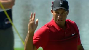 Tiger Woods birdied