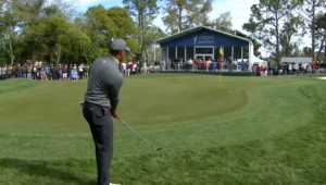 Tiger at Valspar