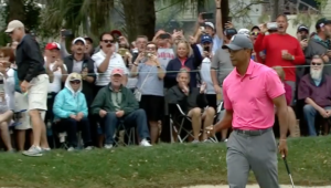 Tiger Woods at Valspar Championship