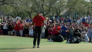 Tiger at the Arnold Palmer Invitational