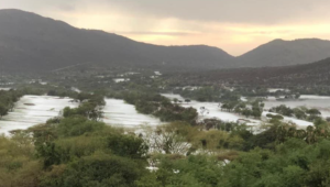 Sun City