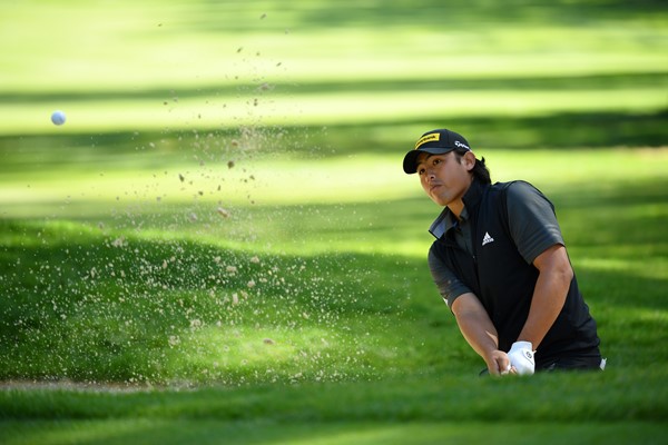 Green leads, 8 Saffas advance