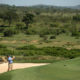 Ernie Els at Leopard Creek