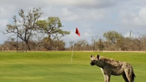 Skukuza Golf Club