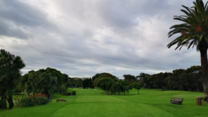 The 6th at Rondebosch GC