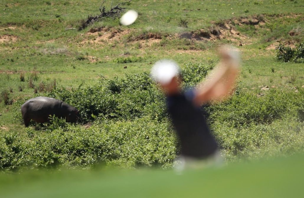 Leopard Creek