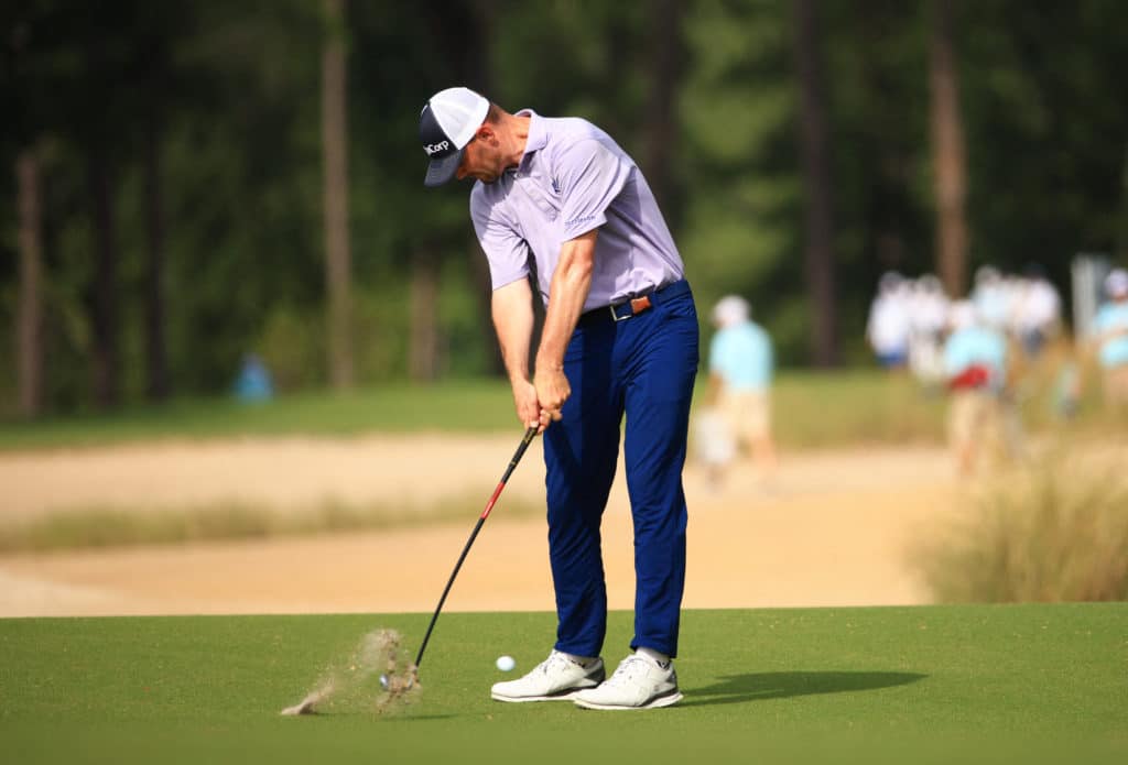 Roach grabs PGA Palmetto lead with No.1 Johnson one back