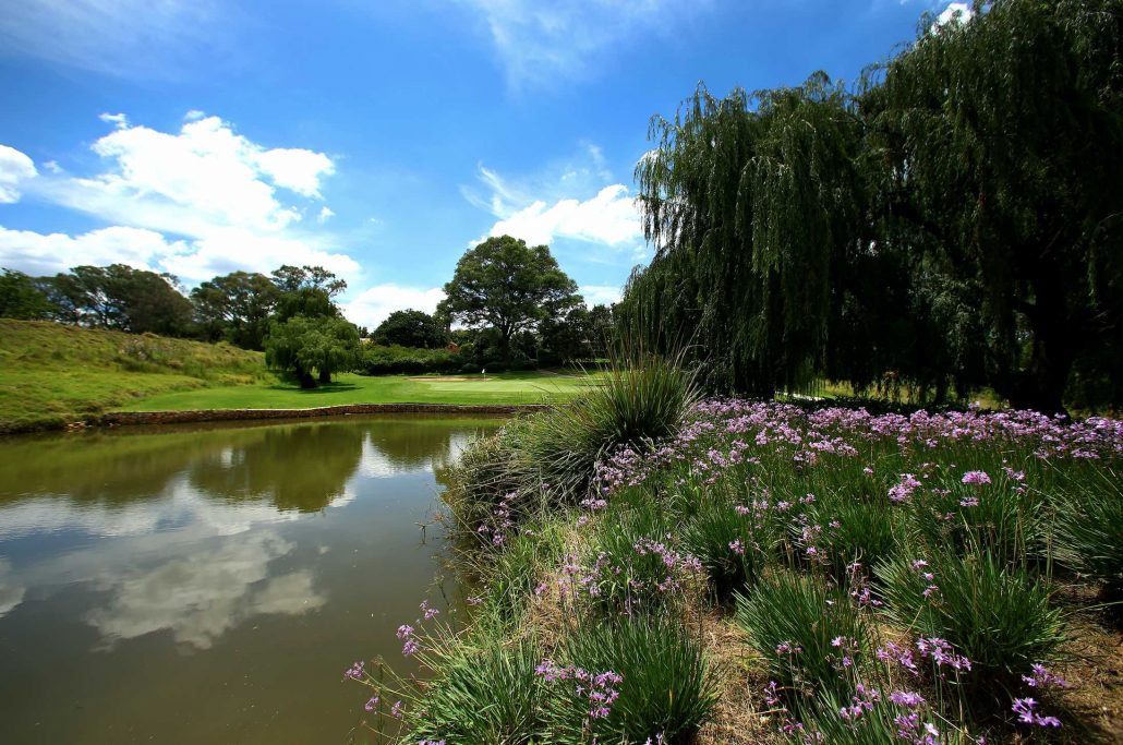 Royal Johannesburg and Kensington West Course Hole 5