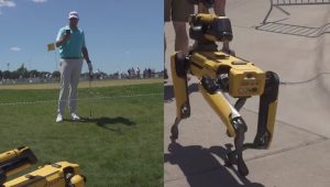 Robo-dog PGA Tour