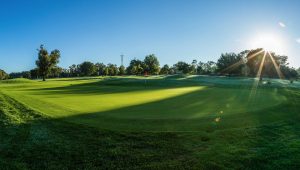 1st hole Irene Country Club