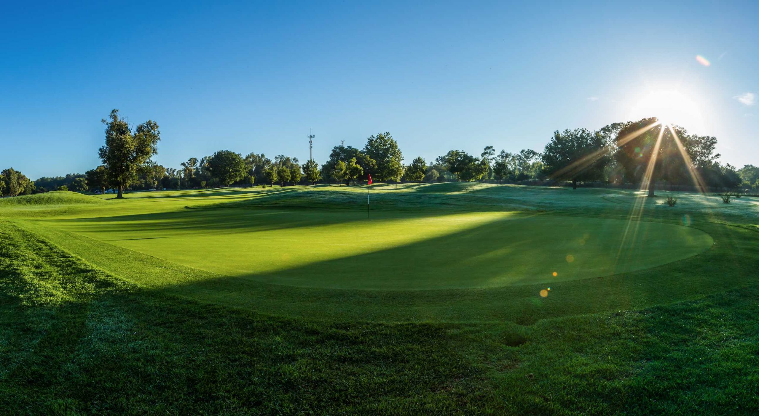 Course of the Month Irene Country Club