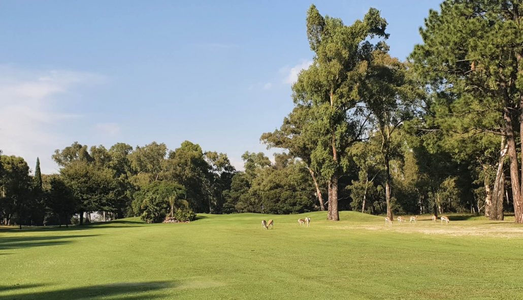 13th hole Benoni Country Club