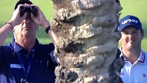 Patrick Reed palm tree