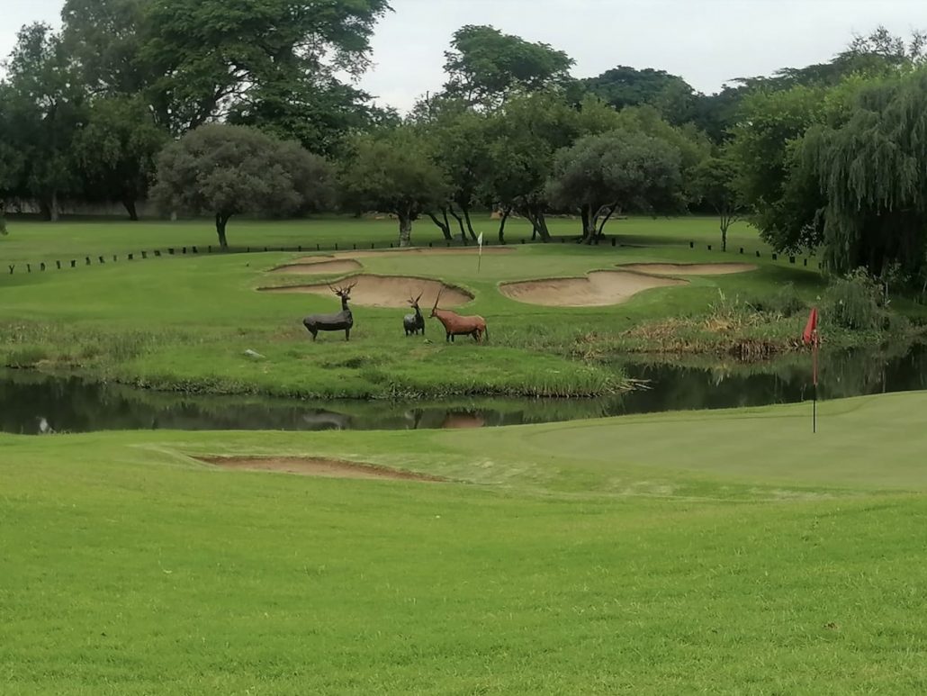 Rustenburg Golf Club signature hole