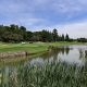 17th Randpark Firethorn Golf Course