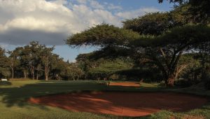 Royal Harare Golf Club