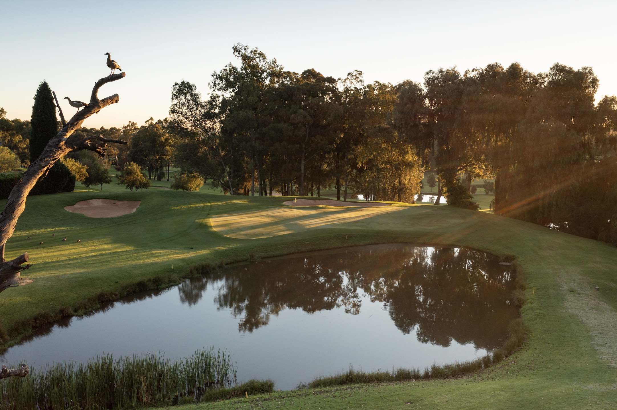 15th Houghton Golf Club