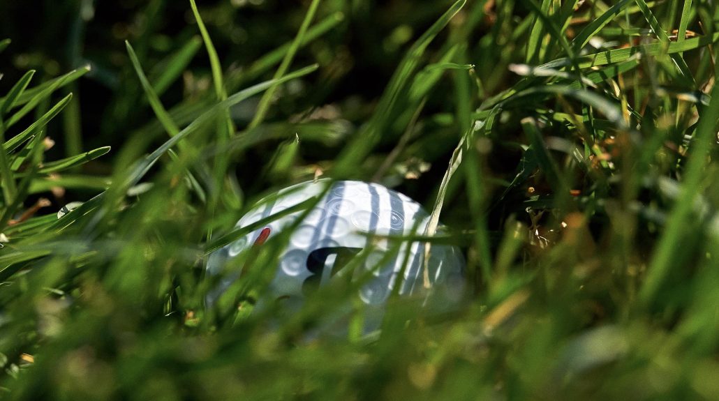 Golf ball grass