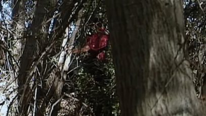 Tiger's crazy par at Sherwood CC