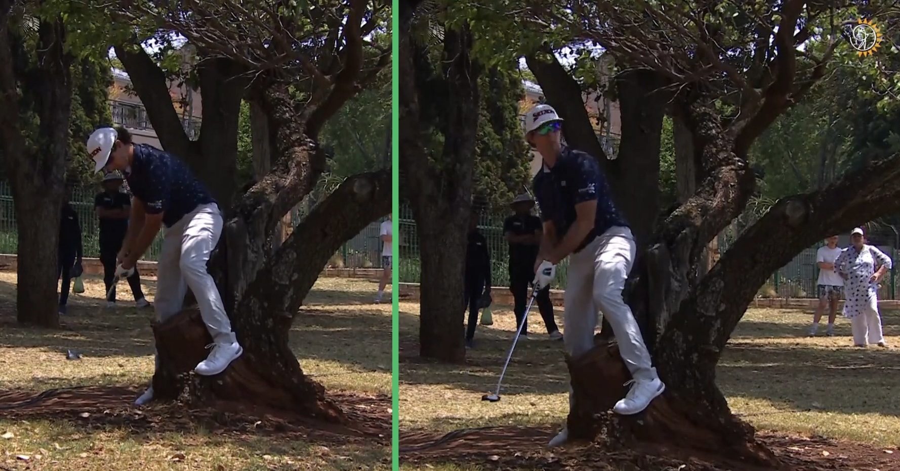 Altin van der Merwe trouble